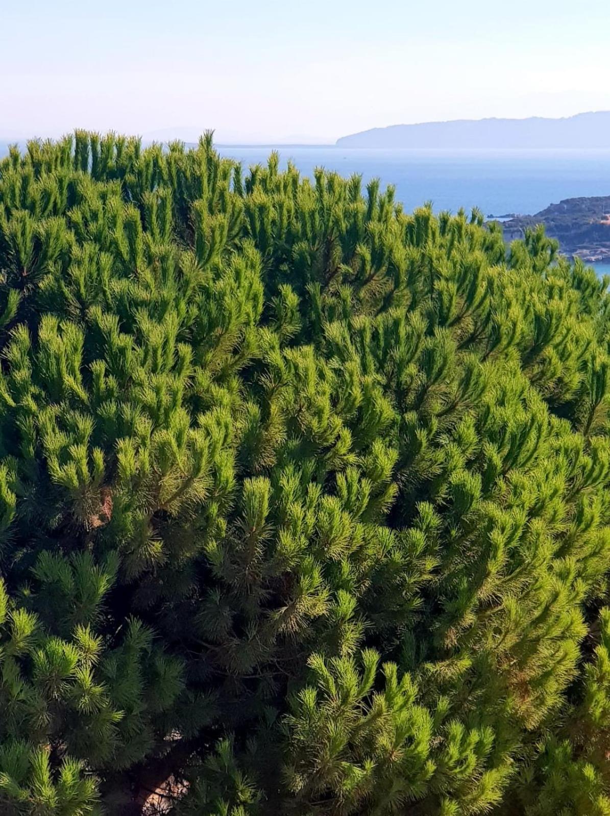 North Wind Hotels - Karaburun 카라부룬 외부 사진